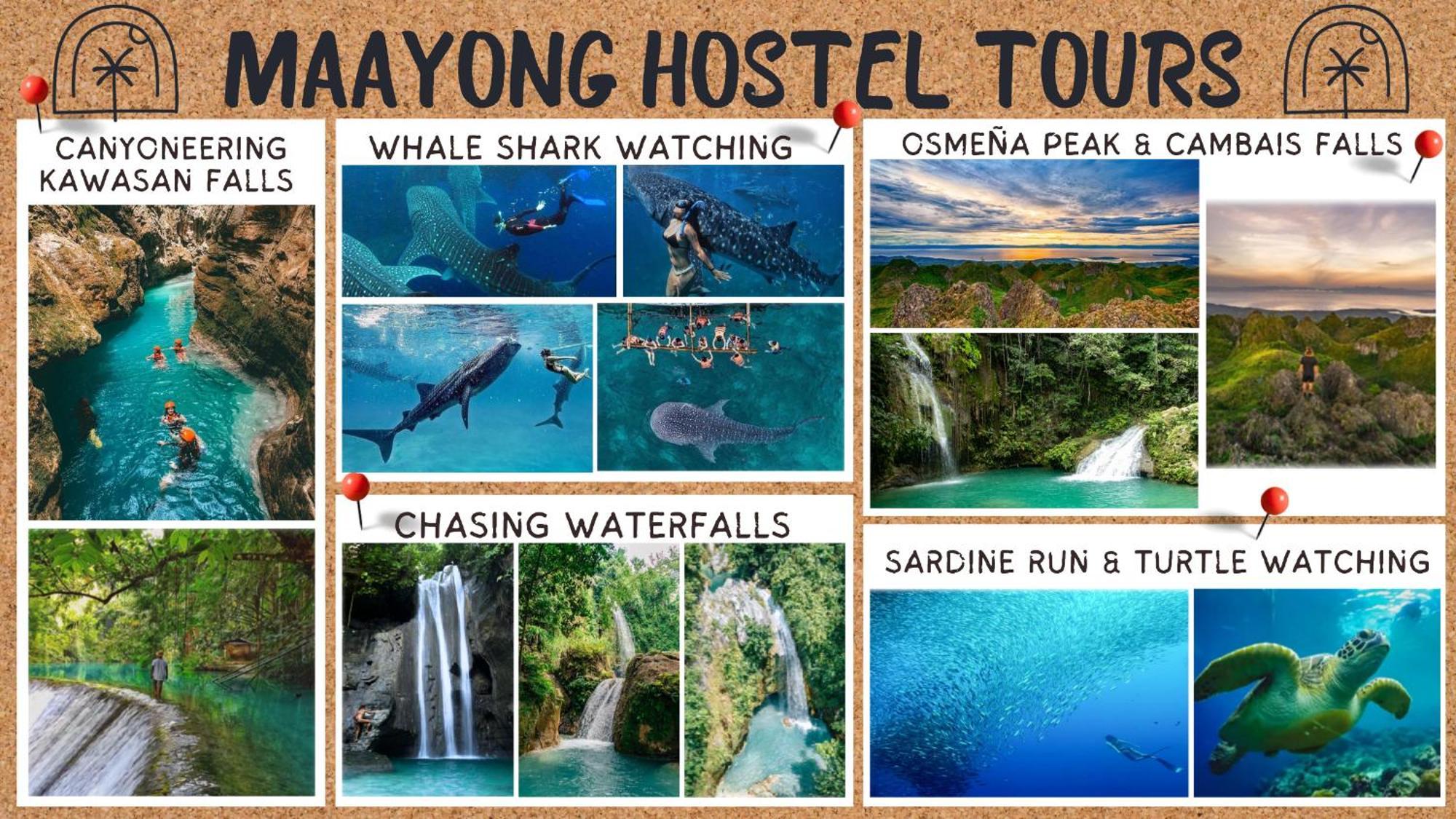 Maayong Hostel (Adults Only) Moalboal Dış mekan fotoğraf